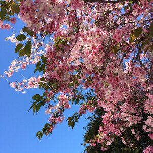 Meet your Posher, Rebekka